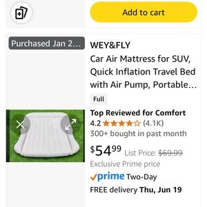 Car Air Mattress - White